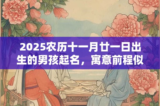 2025农历十一月廿一日出生的男孩起名，寓意前程似锦名字