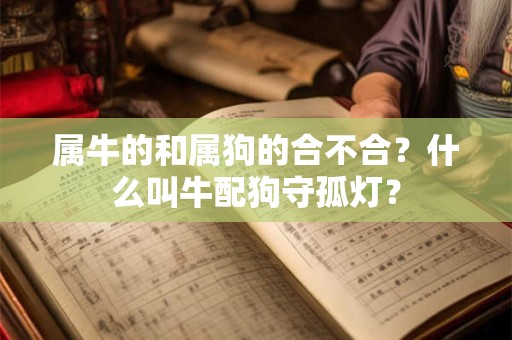 属牛的和属狗的合不合？什么叫牛配狗守孤灯？