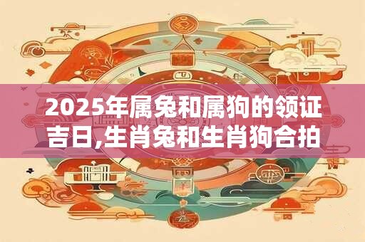 2025年属兔和属狗的领证吉日,生肖兔和生肖狗合拍不