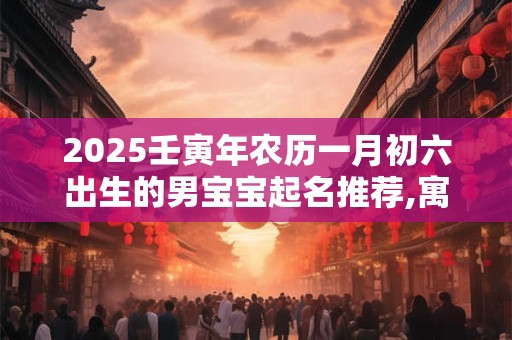 2025壬寅年农历一月初六出生的男宝宝起名推荐,寓意吉祥