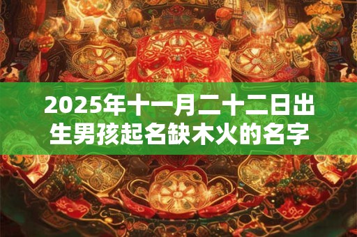 2025年十一月二十二日出生男孩起名缺木火的名字