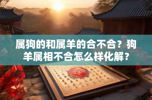 属狗的和属羊的合不合？狗羊属相不合怎么样化解？