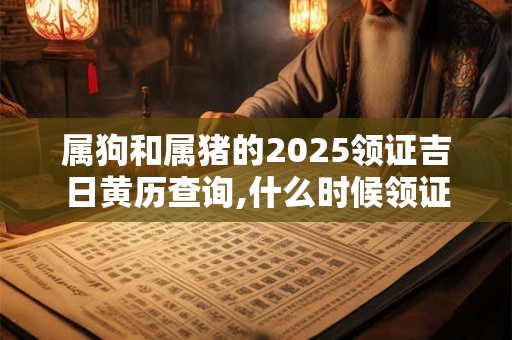 属狗和属猪的2025领证吉日黄历查询,什么时候领证最吉利？