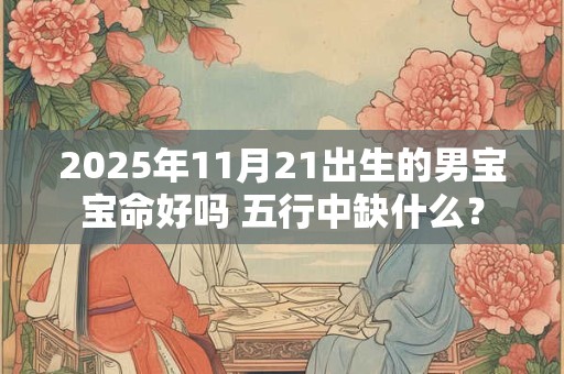 2025年11月21出生的男宝宝命好吗 五行中缺什么？