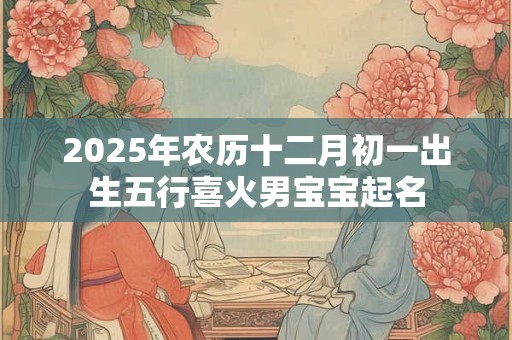 2025年农历十二月初一出生五行喜火男宝宝起名