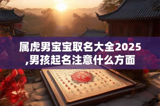 属虎男宝宝取名大全2025,男孩起名注意什么方面