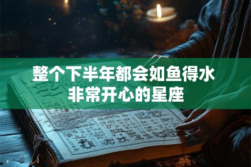整个下半年都会如鱼得水 非常开心的星座