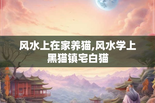 风水上在家养猫,风水学上黑猫镇宅白猫