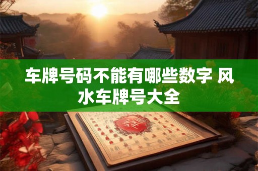 车牌号码不能有哪些数字 风水车牌号大全