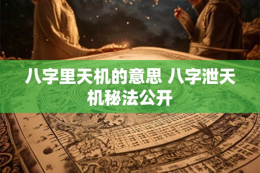 八字里天机的意思 八字泄天机秘法公开
