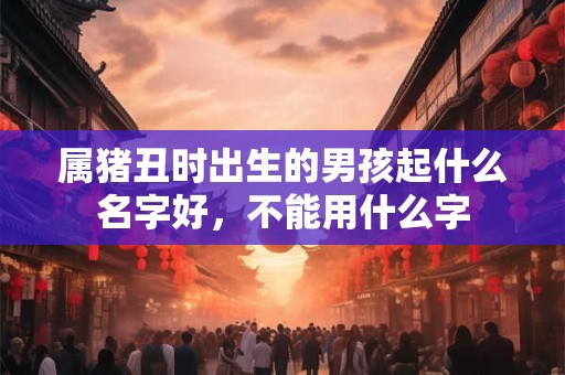 属猪丑时出生的男孩起什么名字好，不能用什么字