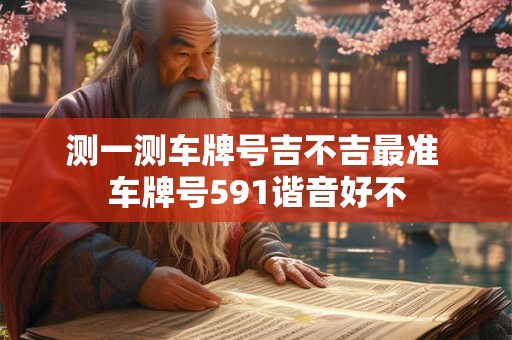 测一测车牌号吉不吉最准 车牌号591谐音好不
