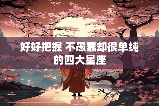 好好把握 不愚蠢却很单纯的四大星座