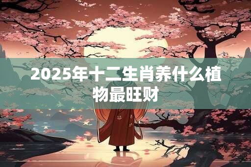 2025年十二生肖养什么植物最旺财