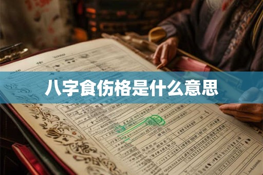 八字食伤格是什么意思