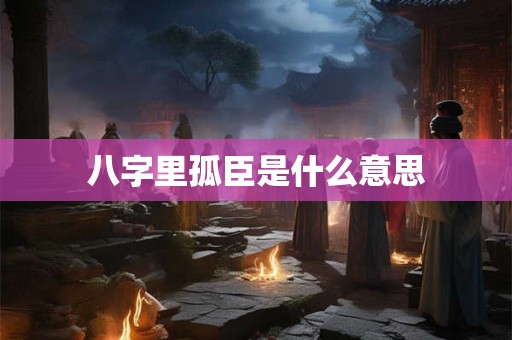八字里孤臣是什么意思