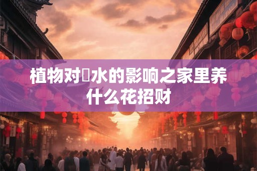 植物对風水的影响之家里养什么花招财