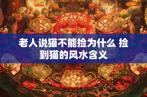 老人说猫不能捡为什么 捡到猫的风水含义