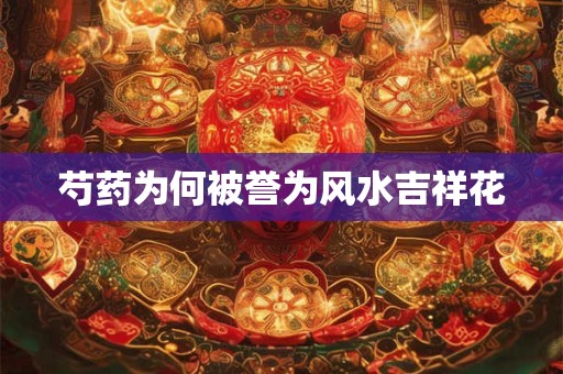 芍药为何被誉为风水吉祥花