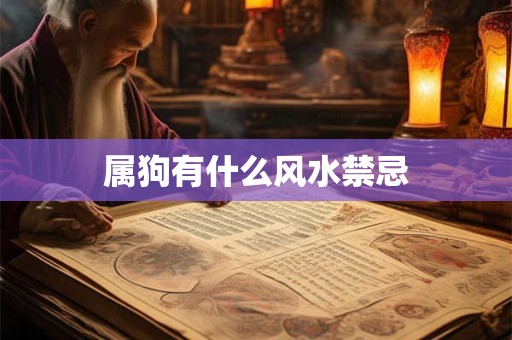 属狗有什么风水禁忌