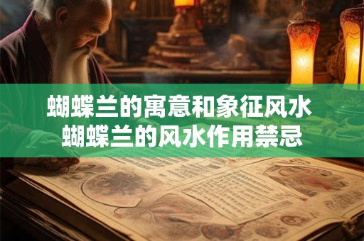 办公座位风水植物  你的办公室适合养什么植物