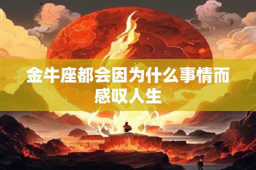 金牛座都会因为什么事情而感叹人生