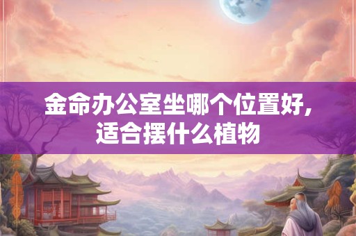 金命办公室坐哪个位置好,适合摆什么植物