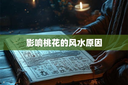 影响桃花的风水原因