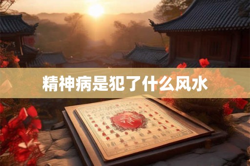 精神病是犯了什么风水