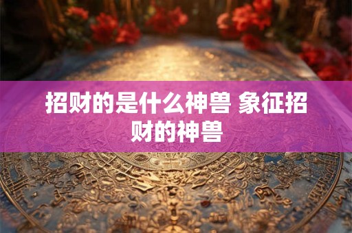 哪种龟最招财 哪种龟最招财