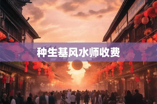 种生基风水师收费