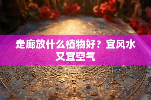 走廊放什么植物好？宜风水又宜空气