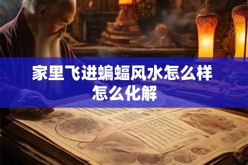 家里飞进蝙蝠风水怎么样 怎么化解