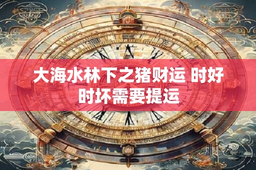 大海水林下之猪财运 时好时坏需要提运