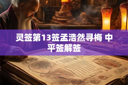 灵签第13签孟浩然寻梅 中平签解签