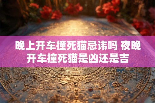 晚上开车撞死猫忌讳吗 夜晚开车撞死猫是凶还是吉