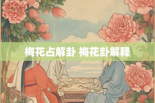 梅花占解卦 梅花卦解释