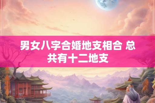 男女八字合婚地支相合 总共有十二地支