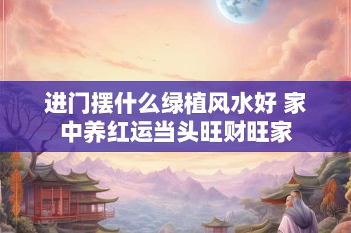 进门摆什么绿植风水好 家中养红运当头旺财旺家