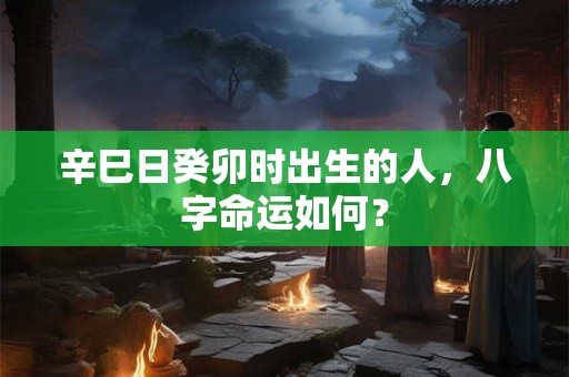 辛巳日癸卯时出生的人，八字命运如何？