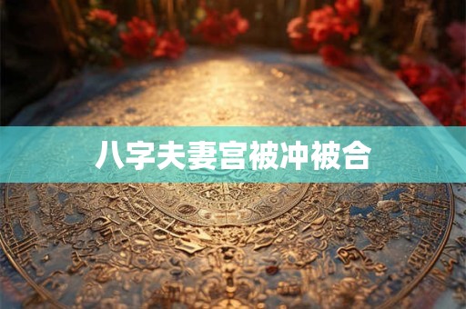 八字无财的巨富例子