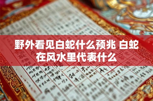 野外看见白蛇什么预兆 白蛇在风水里代表什么