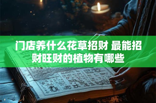 门店养什么花草招财 最能招财旺财的植物有哪些