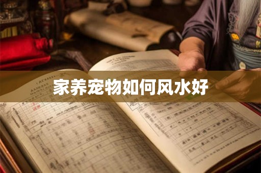 家养宠物如何风水好