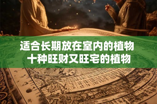 适合长期放在室内的植物 十种旺财又旺宅的植物