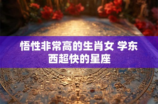 悟性非常高的生肖女 学东西超快的星座