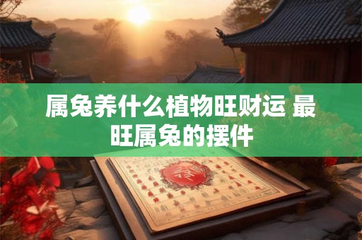 属兔养什么植物旺财运 最旺属兔的摆件