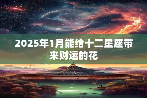 2025年1月能给十二星座带来财运的花