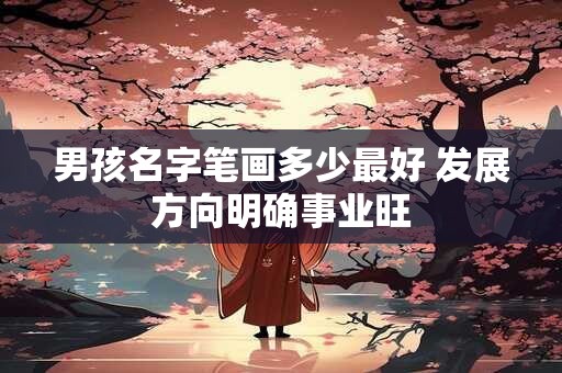 男孩名字笔画多少最好 发展方向明确事业旺