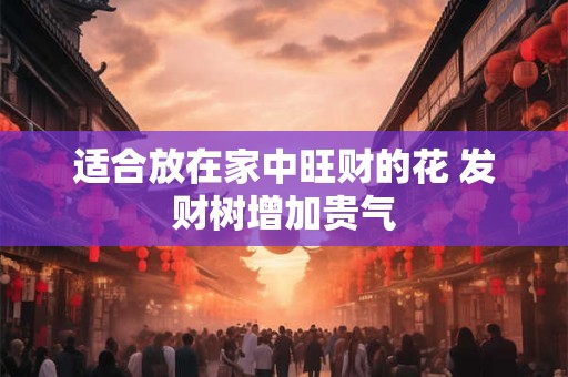 适合放在家中旺财的花 发财树增加贵气